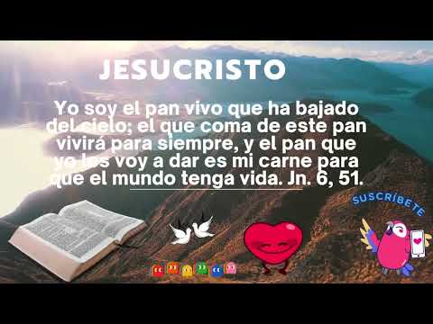 Como enamorarse de la palabra De Dios🧎‍♀️