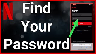 How To Find Netflix Password