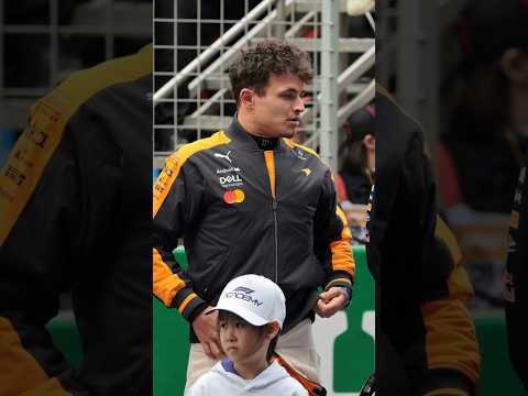 Verstappen e Norris Renovam: Acabou a Novela do Mercado #f1 #formula1 #shorts