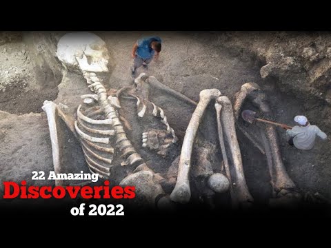 , title : 'The 22 most amazing discoveries of 2022@UntoldDiscoveries'