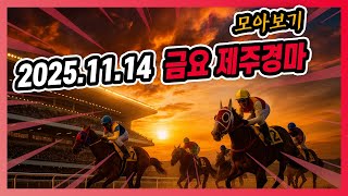 2025년 11월 14일 금요 제주경마 전체경주 모아보기