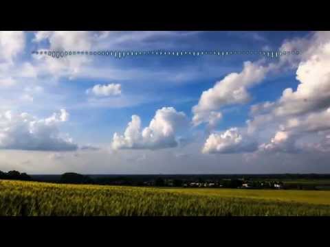 VILAK UNATH | Nanda Malani | විලක් උනත් | නන්දා මාලනී [Lyrics Play]