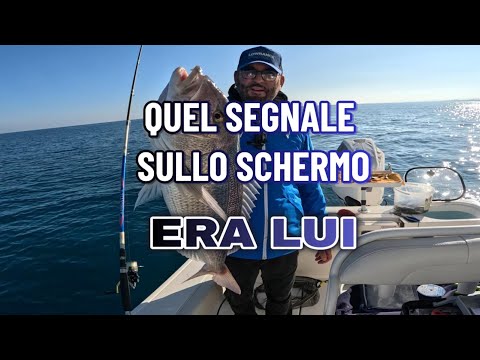 🔥 “Unexpected Catch: The Snapper Lands On My Hookbait!”