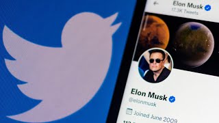 'Toxic sewer': Elon Musk's Twitter takeover causes 'feral leftist meltdown'