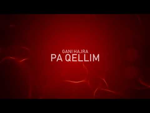 Gani Hajra - Pa Qellim