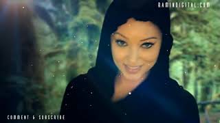 Iranian Music Video - Persian songs 2014 Top 10 {S