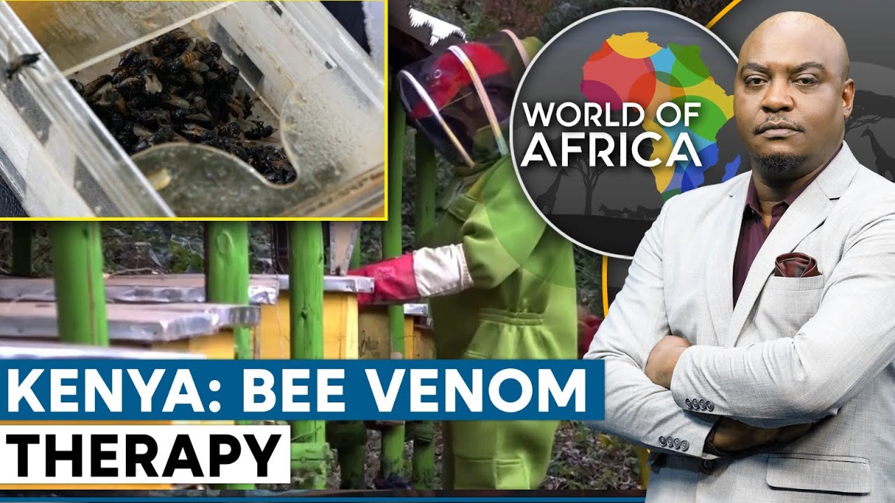 Can Bee Stings Help Cure Illnesses? | World Of Africa