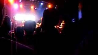 New Pornographers - All the Old Showstoppers