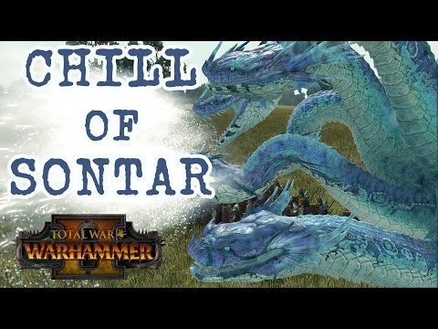 CORE UNIT: Chill of Sontar - Dark Elves vs Beastmen // Total War: Warhammer II Online Battle