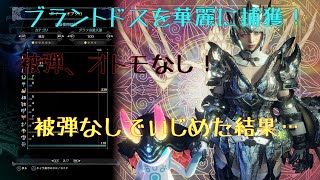 【mhwi 】被弾なしフリークエスト第一弾ブラントドスを華麗に狩ってみた