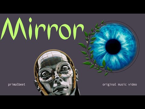 Mirror Video