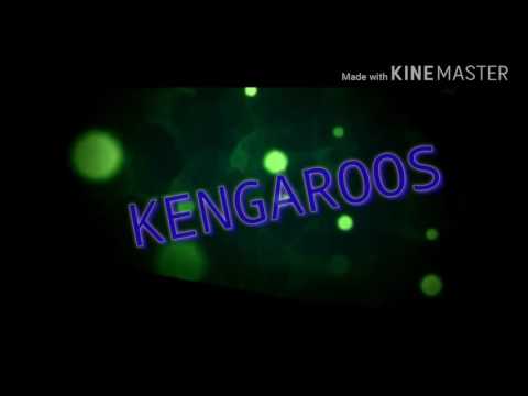 Intro for KENGAROOS