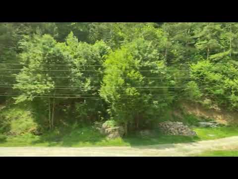 Bulz - Halta Stana de Vale din R 10653 ( IRC Calatori )