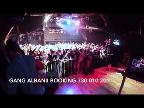 MYSHOW - GANG ALBANII