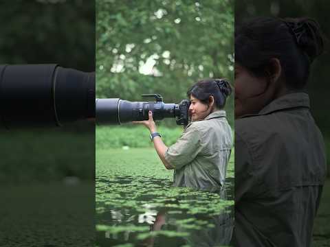 Let’s take a sneak peek at the life of water birds 📸💖