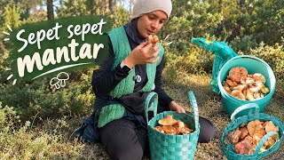 MANTAR TOPLAMA..SEZONU AÇTIK// MANTAR İSİMLERİ