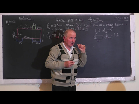 1/3 Lectia 1503 Perimetru Arie: Patrat Dreptunghi Unitati de masura: lungime si suprafata - Clasa 5