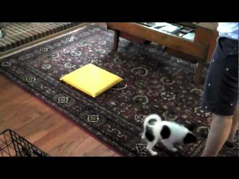 Introducing a sustained sit on the mat