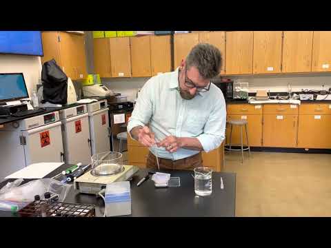 Precision vs Accuracy with your Pipet