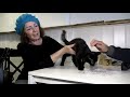 Ah! Kattencafé opent zijn deuren in Dordrecht