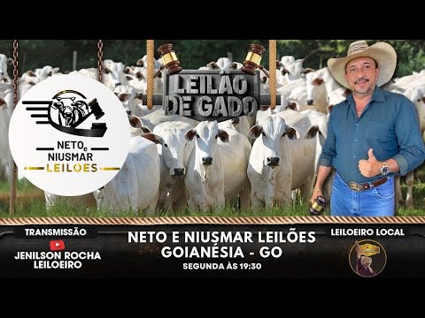 NETO E NIUSMAR LEILÕES GOIANÉSIA-GO 01/12/2025 LIVE JENILSON ROCHA