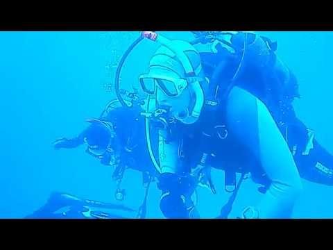 Camogli immersione a Punta Chiappa