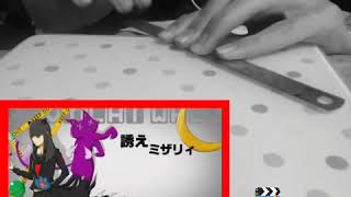 定規で弾いてみたwwwwwwww「エンヴィキャットウォーク」