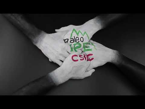 Body painting for a more understandable palaeoscience