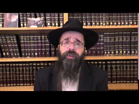 Dvar Malchus 28 Nisan 5751