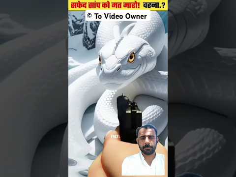Don't kill the white snake or your whole family will be destroyed #whitesnake #shorts