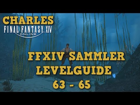 FFXIV 4.0 - Sammler Guide Level 63-65 / German-Deutsch