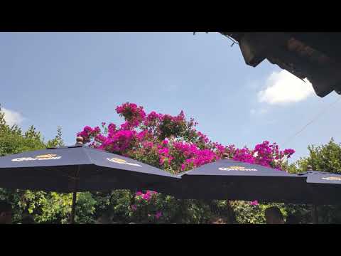 Timelapse Xiaomi MI 9