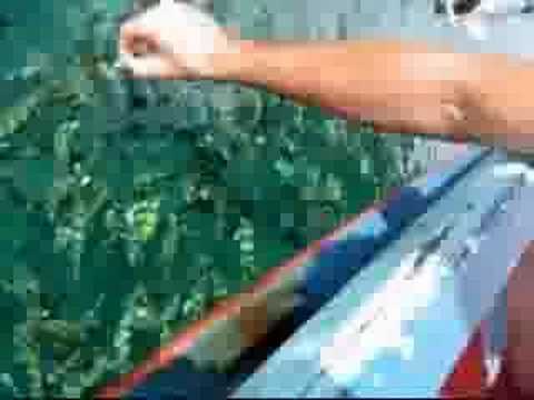 Extreme Lounge Mini-Clip Thailande