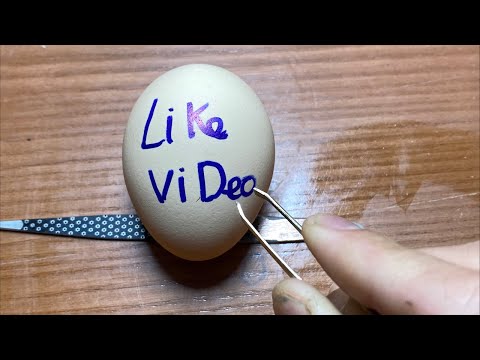 RAW EGG PEELING LIVE