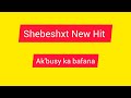 Ake Busy Ka Bafana - Shebeshxt ft Naqua SA