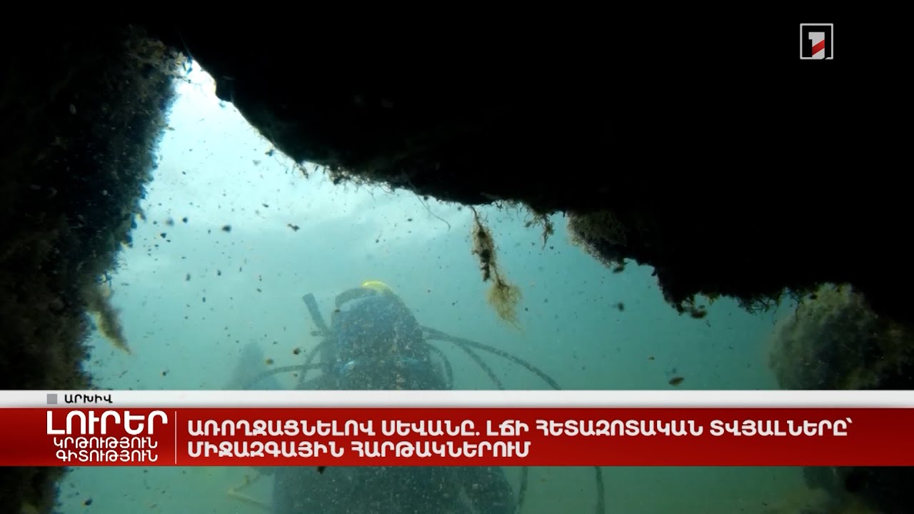 Առողջացնելով Սևանը. լճի հետազոտական տվյալները՝ միջազգային հարթակներում