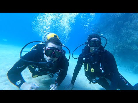 SCARY EXPERIENCE SCUBA DIVING WITH SEA LIONS IN MEXICO! *SHE VOMITED*