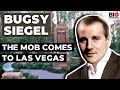 Bugsy Siegel: The Mob Comes to Las Vegas DEFAULT Thumbnail