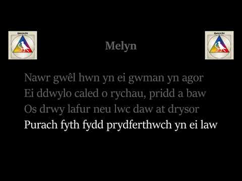 Melyn – Bwncath