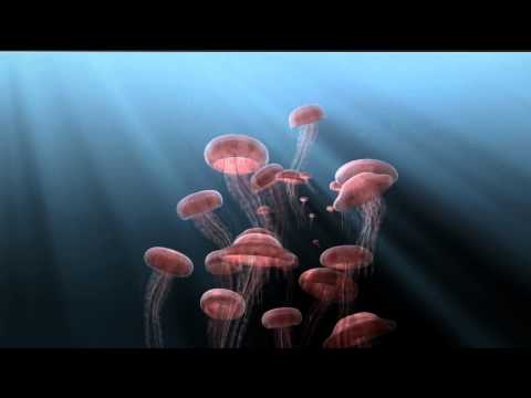 Introduction Interactive 3D Graphics