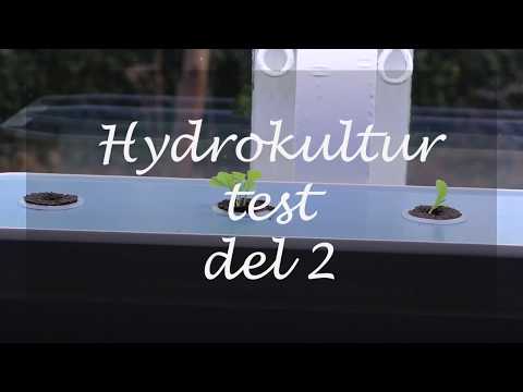 Hydrokultur test del 2
