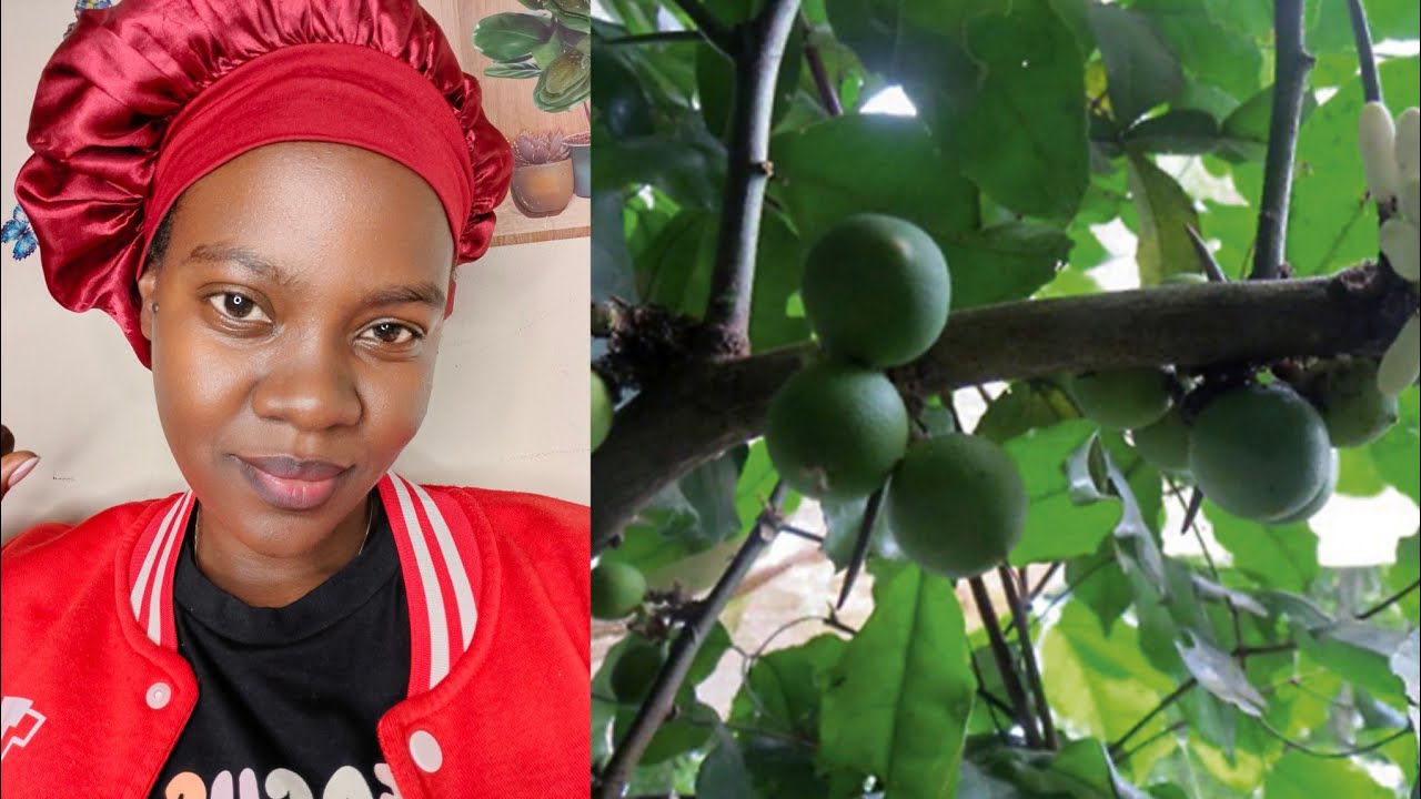 Nywe omubolobolo okunyunjila mu mana 