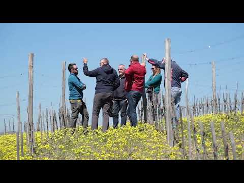 Složno, uspešno! ep. 115 31.05.2022. Vinarija "Ivanović", Aleksandrovac, organska vina