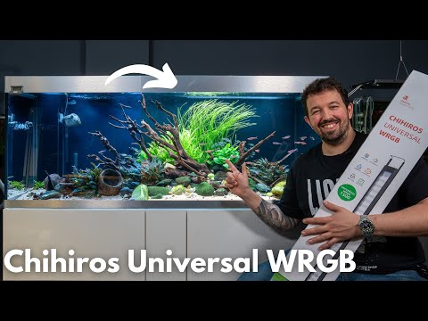 Chihiros Universal WRGB - Die BESTE Lampe für Aquarien mit Abdeckung?