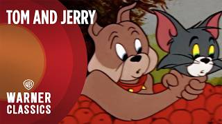 Download lagu Tom and Jerry | Mega Episode: Golden Era Vol. 14 | Warner Classics mp3