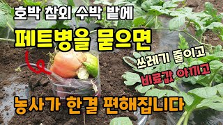 호박 참외 수박밭에 페트병을 묻으면 농사가 편해집니다 채소과일껍질 음식물쓰레기 돈주고 버리지 말고 페트병에 …