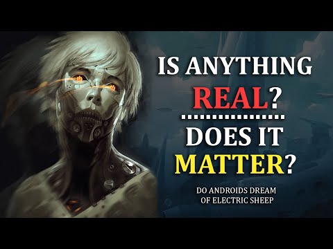 Is Anything Real? | Do Androids Dream of Electric Sheep