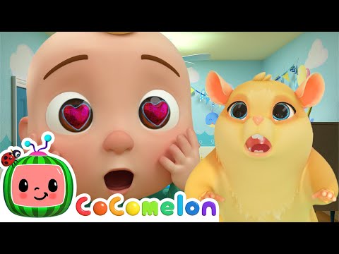 Lost Hamster Song | CoComelon Animal Time | Animals for Kids