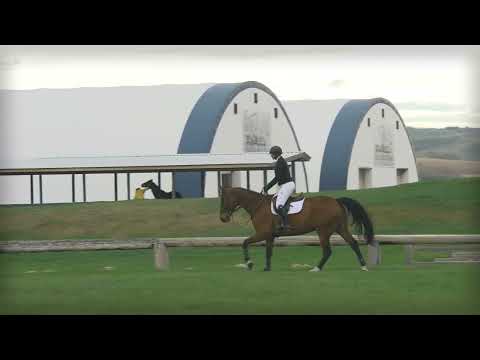 Hendrix Flatwork