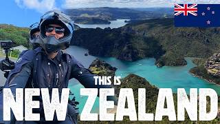 This Is Why We Came To New Zealand!